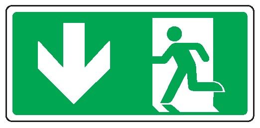 Cartello bifacciale in All. 220x125 mm USCITA DI EMERGENZA CON FRECCIA VERSO IL BASSO