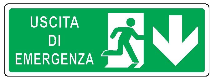 Cartello in All. 350x125 mm USCITA DI EMERGENZA CON FRECCIA VERSO IL BASSO