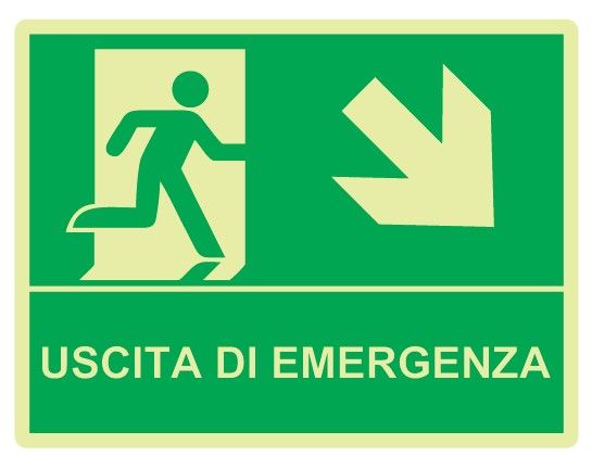 Cartello Luminescente bifacciale sospeso in All. 325x245 mm USCITA DI EMERGENZA CON FRECCIA IN BASSO A DX