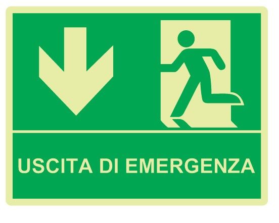 Cartello Luminescente bifacciale sospeso in All. 325x245 mm USCITA DI EMERGENZA CON FRECCIA VERSO IL BASSO
